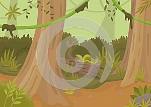 Jungle landscape with trees and lianas. Vector colorful cartoon background. Illustration for kids.