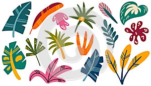 Jungle leaves set. Cartoon different tropical plants. Palm, banana, monstera.