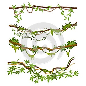 Jungle liana plants. Cartoon tropical climbing creepers branches with moss. Rainforest liana vines flat vector illustrations set