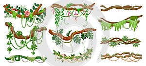 Jungle lianas. Rainforest green vine hanging on branch. Cartoon tropical leaves, liana, moss and flowers on tree