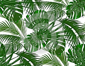 Jungle. Lush green. leaves of tropical palm trees, monstera, agaves. Seamless. Isolated on white background