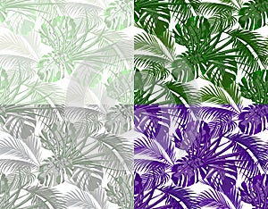 Jungle. Lush leaves of tropical palms, monsters, agaves. Set. Seamless in different colors. Isolated on white background