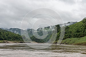 The jungle at the Mekong Laos