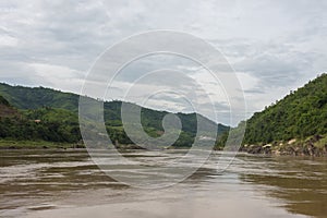 The jungle at the Mekong Laos