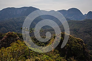 Jungle and mountains at Amboro national Park in Samaipata, Bolivia photo