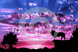Jungle with mountains, old tree, birds lion and meerkat on purple cloudy sunset