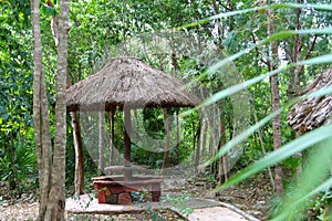 Jungle palapa hut sunroof in Mexico Mayan riviera