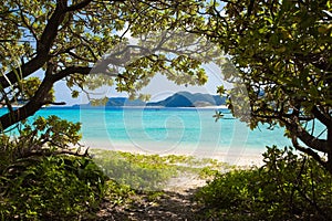 Jungle path to the paradise beach