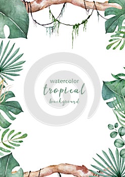 Jungle plam and leaves of tropical plants. Green rectangle horizontal floral frame with liana branches. Hand drawn