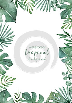 Jungle plam and leaves of tropical plants. Green rectangle horizontal floral frame with liana branches. Hand drawn watercolor