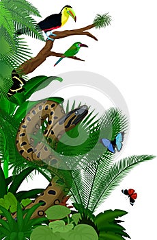 Jungle rainforest foliage vertical border illustration with green anaconda, crimson-rumped toucanet, rainbow-billed toucan and but