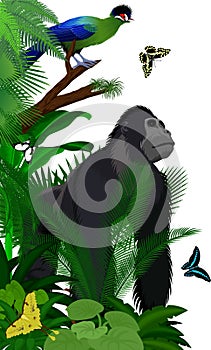 jungle rainforest foliage vertical border illustration with male gorilla, Hartlaub`s turaco and broadly green-banded swallowtail