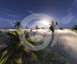 Jungle, rainforest during the plank, palm trees in the morning in the fog, jungle in the haze, 3D rendering