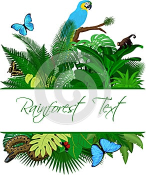 Jungle Rainforest Summer Tropical Leaves Wildlife Vector Design