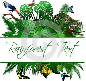 Jungle Rainforest Summer Tropical Leaves Wildlife Vector Design with clouded leopard, diamond pheasant and butterflies