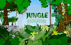 Jungle rainforest tropical background. Vector illustration