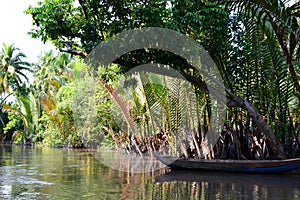 Jungle river. Ben Tre. Mekong delta region. Vietnam