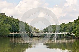 Jungle river, Brunei