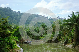 Jungle river and fishing boats in Phuket, Thailand.