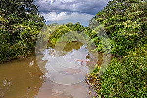 Jungle with river landscape at sunlight in Iguazu park, Misiones, Argentina