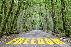 jungle road to freedom