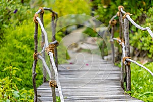 Old wire wooden bridge in tropical jungle. Adventure, freedom forest pathway