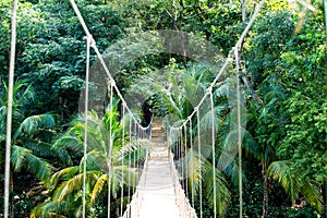 Jungle rope bridge hanging in rainforest of Honduras