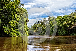 Jungle scenery in Tortuguero National Park in Costa Rica