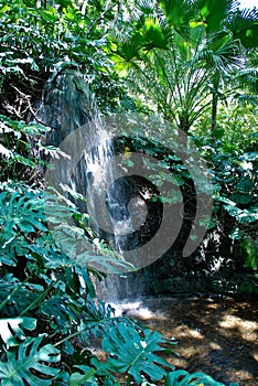 Jungle Scenery - Waterfall