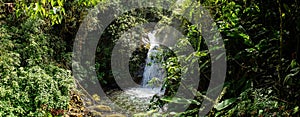 Jungle setting with Waterfall in Cloudbridge Nature Reserve, Costa Rica.