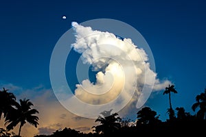 Jungle sky, Luna estrellada