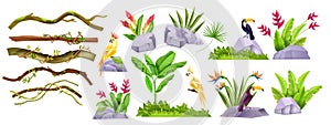 Jungle stone vector object set, exotic plants, liana collection, tropical flowers, parrot, toucan, creepers, vine.