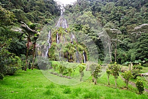 Jungle and waterfall photo