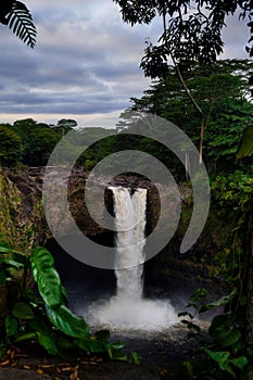 the jungle with a tall waterfall is seen through the trees