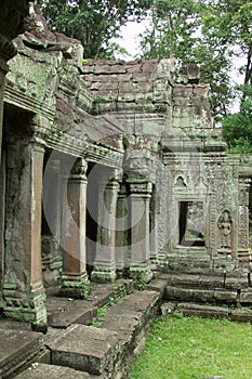 Jungle Temple - Angkor Wat