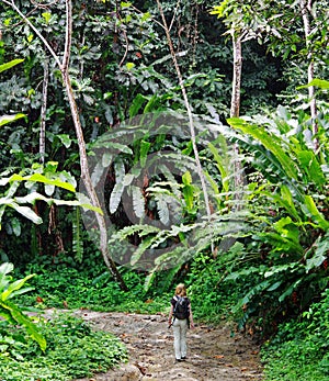 Jungle trail at Trinidad
