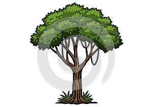 Jungle tree clip art