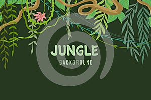 Jungle tropical background. Wildlife adventure in rainforest. Lina and leaves vegetation frame. Exotic landscape vector photo