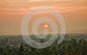 Jungle tropical Paradise at sunset wide landscape.