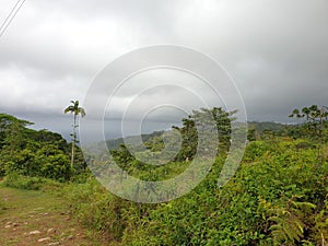 jungle valley in CostaRica photo
