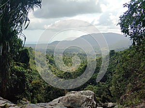 Jungle valley landscape view from the cliff