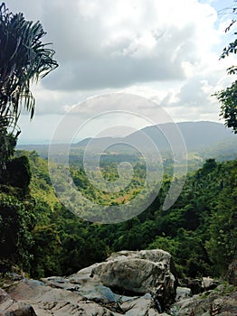 Jungle valley landscape view from the cliff