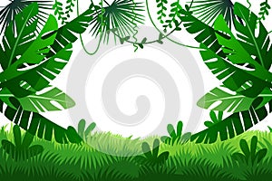 Jungle vector illustration. frame