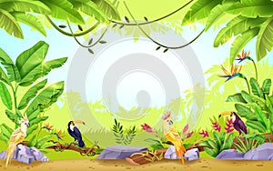 Jungle vector tropical rainforest frame, nature paradise exotic background, toucan, parrot, liana, banana leaf.