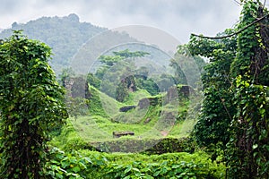 Jungle Vietnam myson area in cloudy day