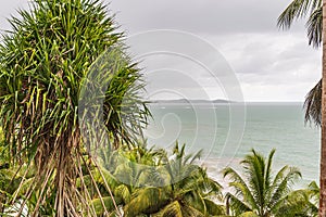 Jungle View of the Axim sea in Ghana