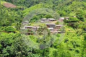 Jungle village