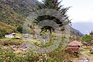 Jungle village camping , Bolivia culture tourist destination.