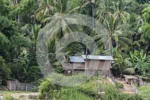Jungle village at Mekong river, Laos