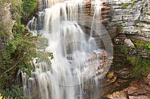 La jungla cascada 